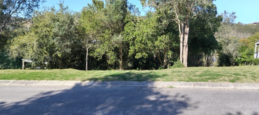 0 Bedroom Property for Sale in Green Pastures Western Cape